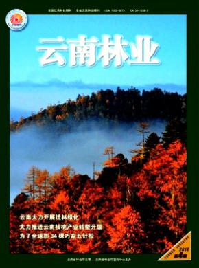 云南林业期刊封面