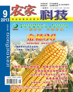 农家科技期刊封面