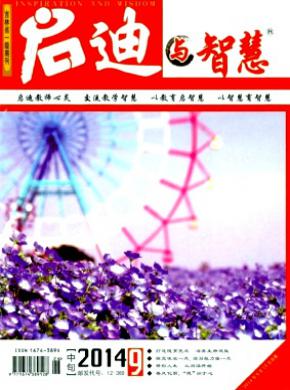 启迪与智慧期刊封面