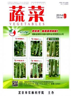 蔬菜期刊封面