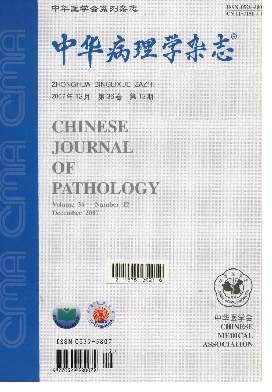 中华病理学期刊封面