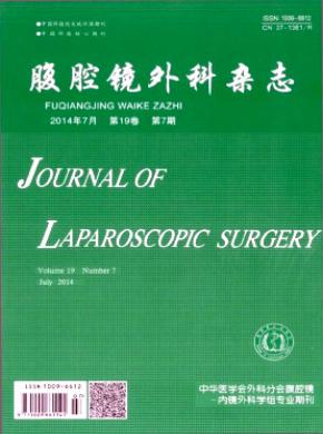 腹腔镜外科期刊封面