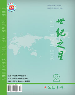 世纪之星期刊封面