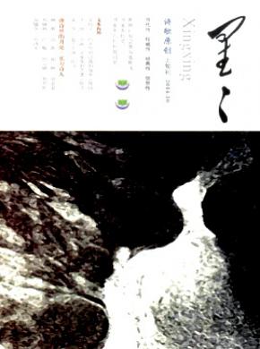 星星期刊封面