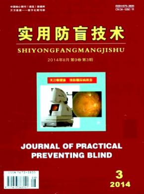 实用防盲技术期刊封面
