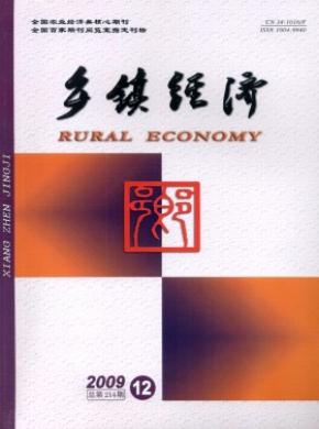 乡镇经济期刊封面
