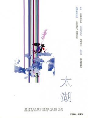太湖期刊封面