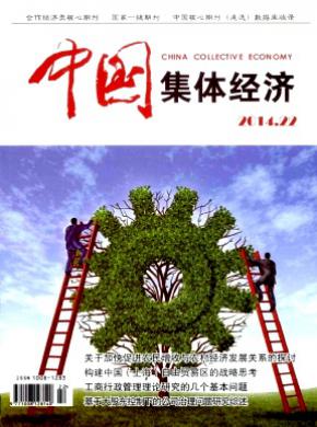 中国集体经济期刊封面