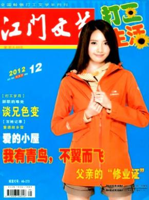 江门文艺期刊封面