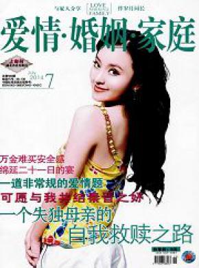 爱情婚姻家庭生活纪实期刊封面