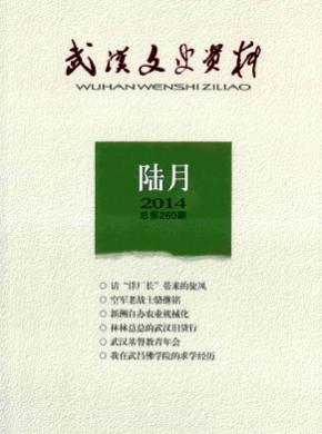 武汉文史资料期刊封面