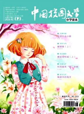 中国校园文学期刊封面
