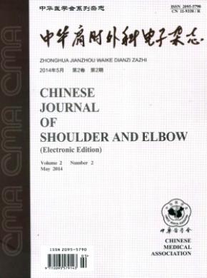 中华肩肘外科电子期刊封面
