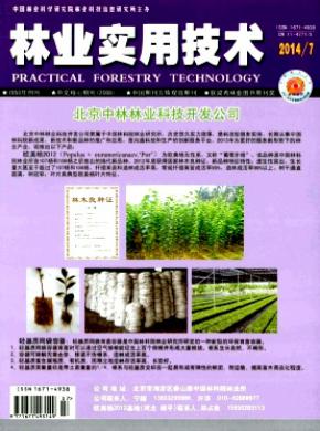 林业实用技术期刊封面