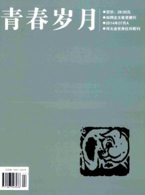 青春岁月期刊封面