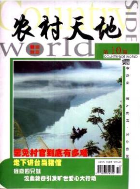 农村天地期刊封面