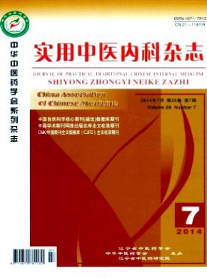 实用中医内科期刊封面