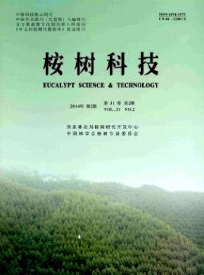 桉树科技期刊封面