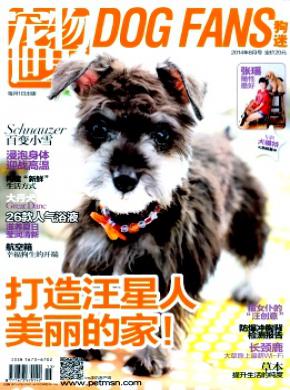 宠物世界狗迷期刊封面