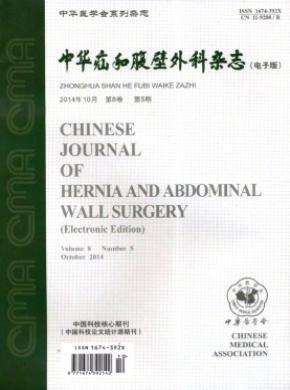 中华疝和腹壁外科电子版期刊封面