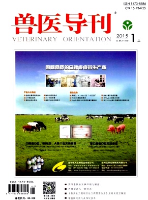 兽医导刊期刊封面