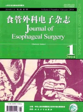 食管外科电子期刊封面