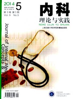 内科理论与实践期刊封面