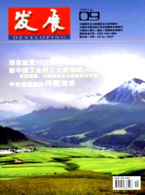 发展期刊封面