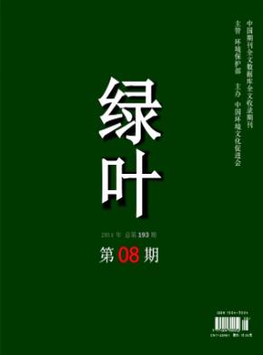 绿叶期刊封面