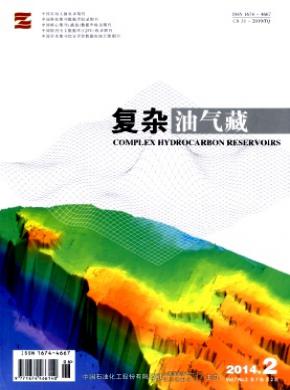 复杂油气藏期刊封面