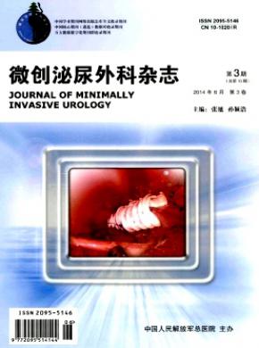微创泌尿外科期刊封面
