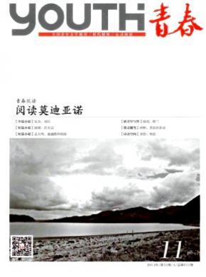 青春期刊封面