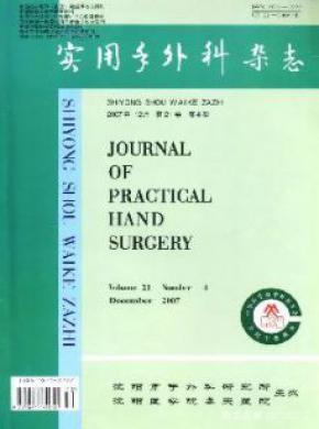 中国实用手外科期刊封面