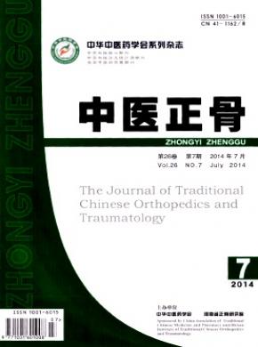 中医正骨期刊封面