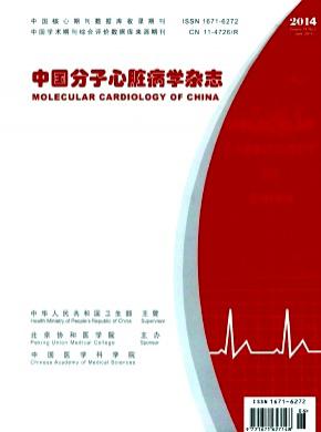 中国分子心脏病学期刊封面