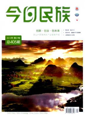 今日民族期刊封面