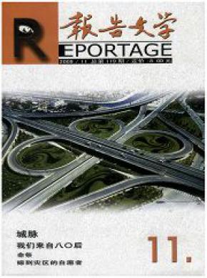 报告文学期刊封面