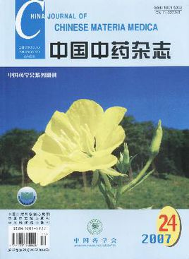 中国中药期刊封面