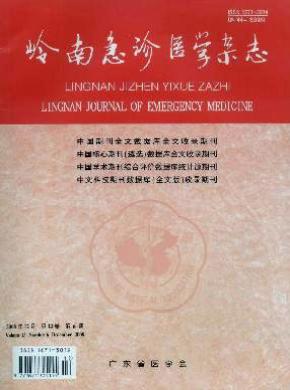 岭南急诊医学期刊封面