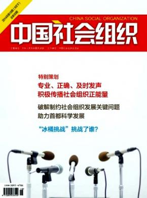 中国社会组织期刊封面