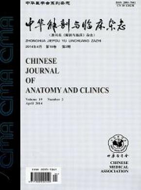 中华解剖与临床期刊封面