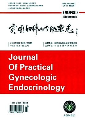 实用妇科内分泌电子杂志期刊封面