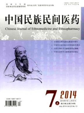 中国民族民间医药期刊封面
