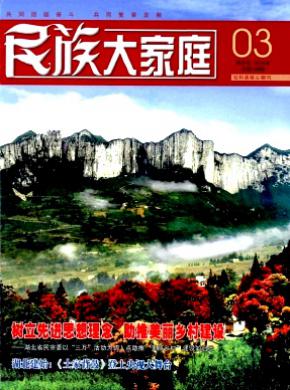 民族大家庭期刊封面