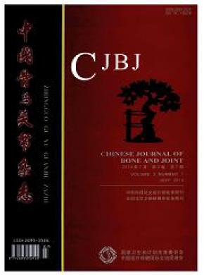 中国骨与关节期刊封面
