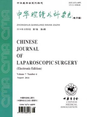 中华腔镜外科电子版期刊封面