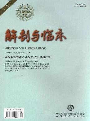 解剖与临床期刊封面