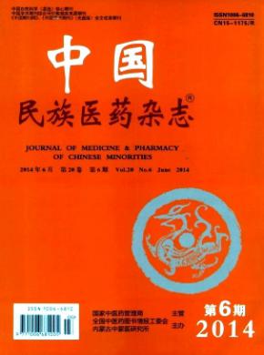 中国民族医药期刊封面