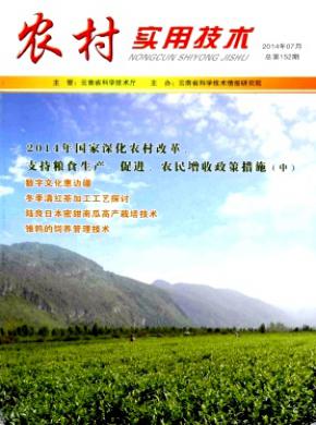 农村实用技术期刊封面