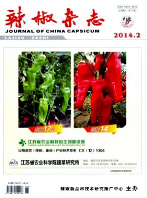 辣椒期刊封面